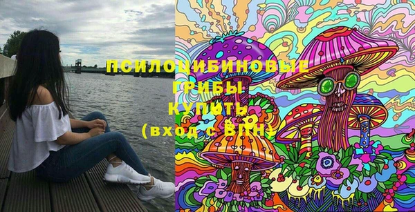 сатива Весьегонск