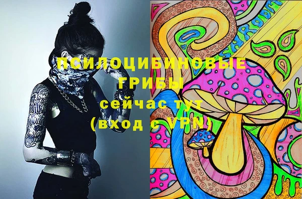 jwh Пестово