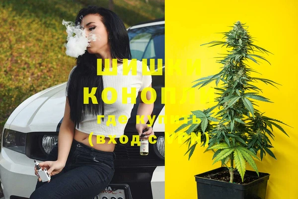 apvp Ветлуга