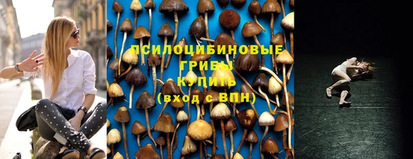 гидра Видное