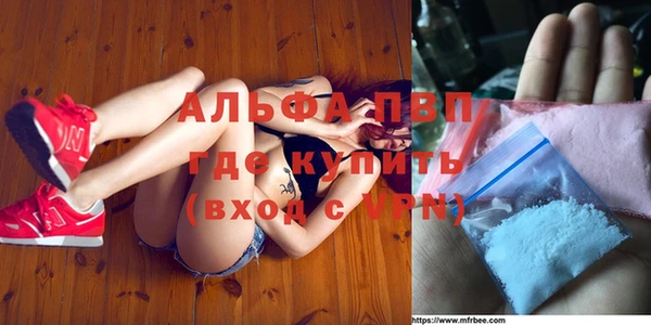 сатива Весьегонск
