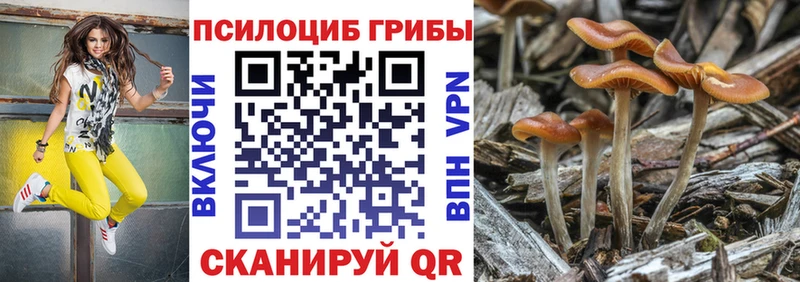Псилоцибиновые грибы GOLDEN TEACHER  где продают наркотики  Шенкурск 